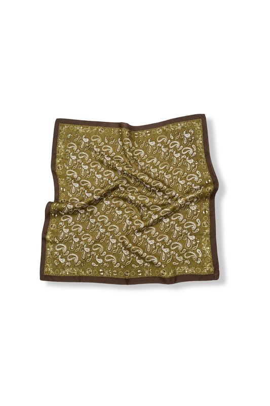Sagebrush Paisley Scarf